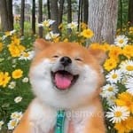 Avatar de Margarita Vega